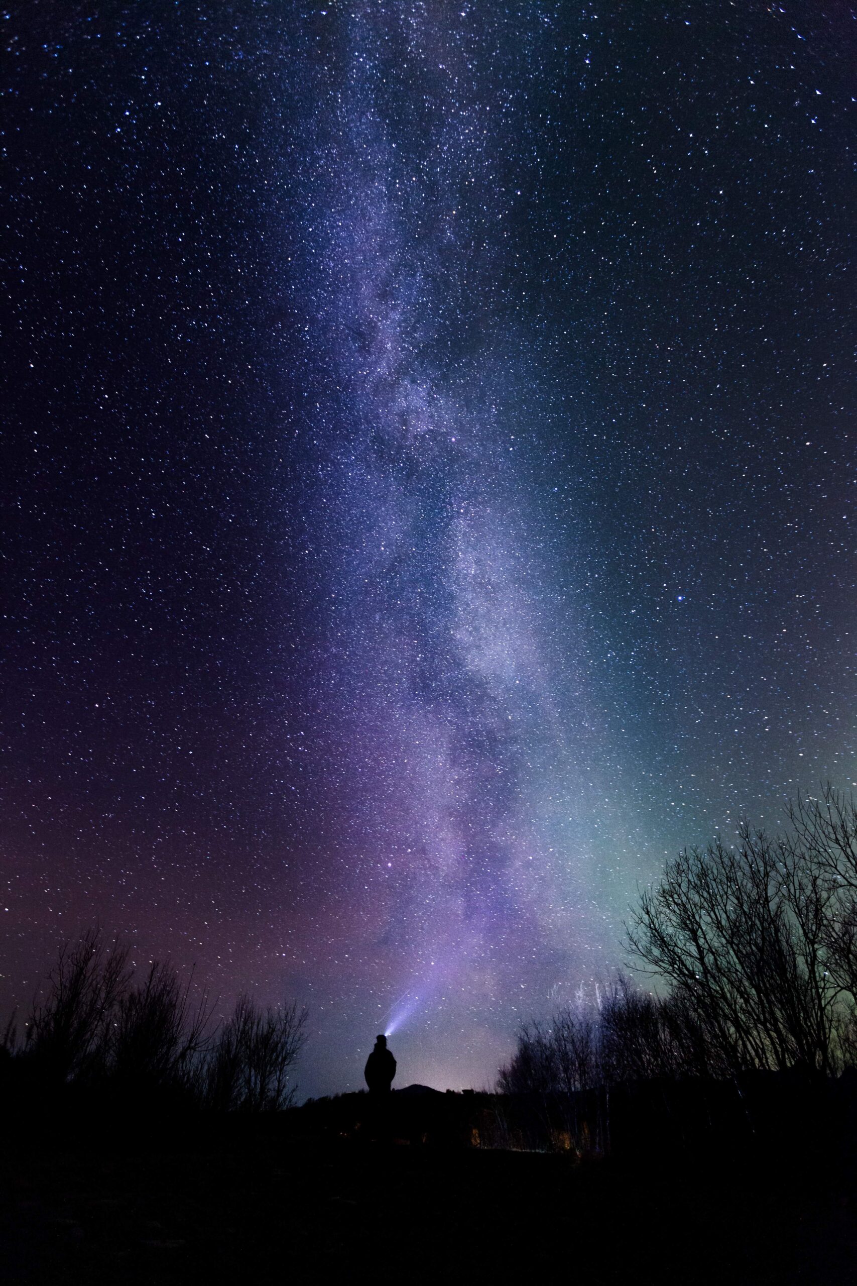 Contemplación de las perseidas