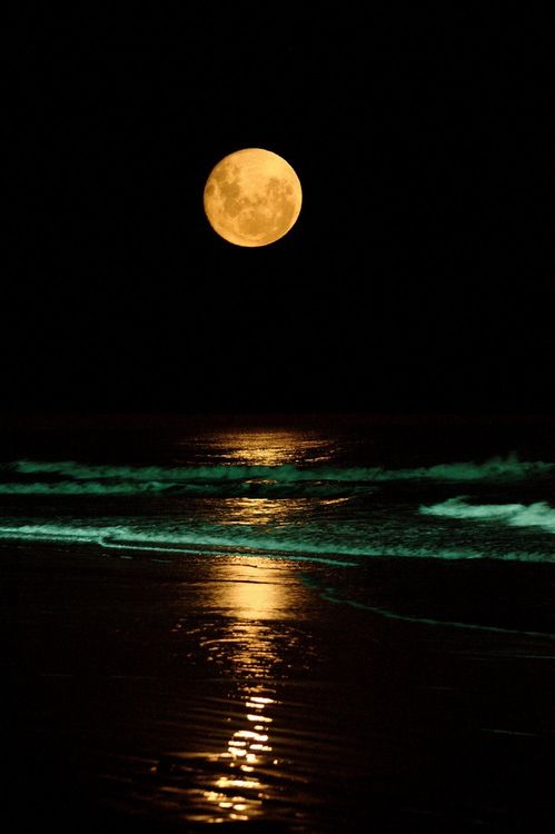 senderismo nocturno y baño en la playa