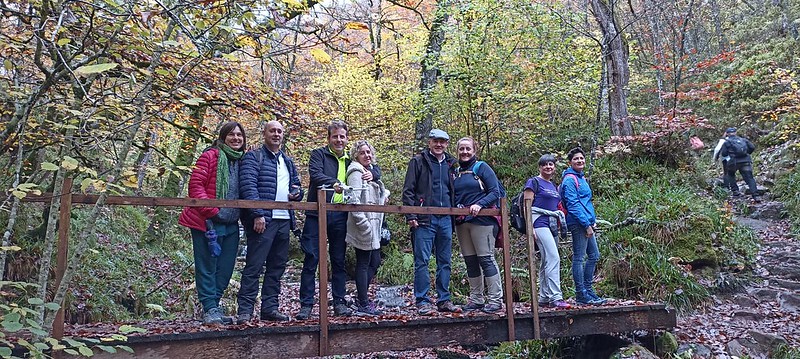 Selva de Irati noviembre