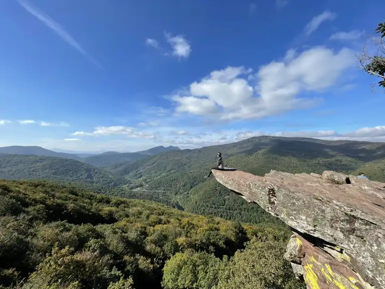 selva de irati