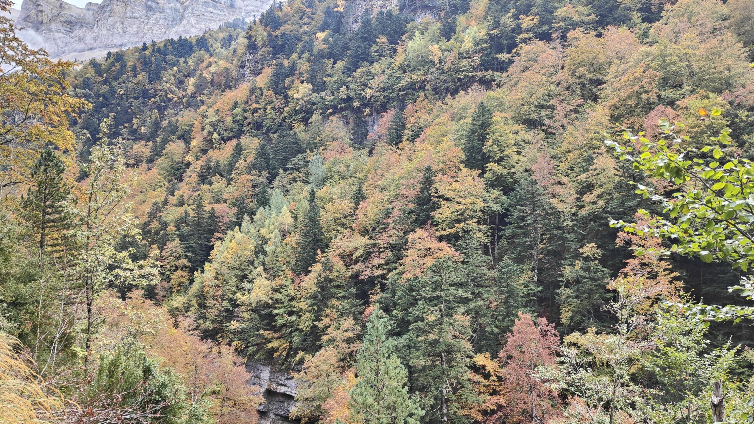 ORDESA, MONTE PERDIDO