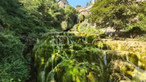 El poder de la naturaleza en la terapia psicológica