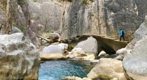 cañon del colorado español