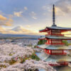 Viaje a Japón