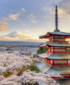Viaje a Japón