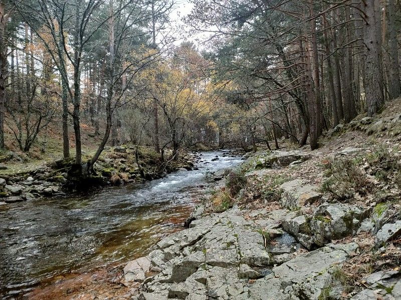 Puente de Diciembre Sierra Guadarrama 