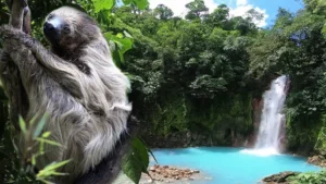 viaje a costa rica