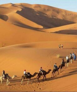 Descrubre Marrakech y Desierto Merzouga