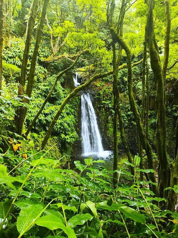 Viaje a Azores agosto 2026