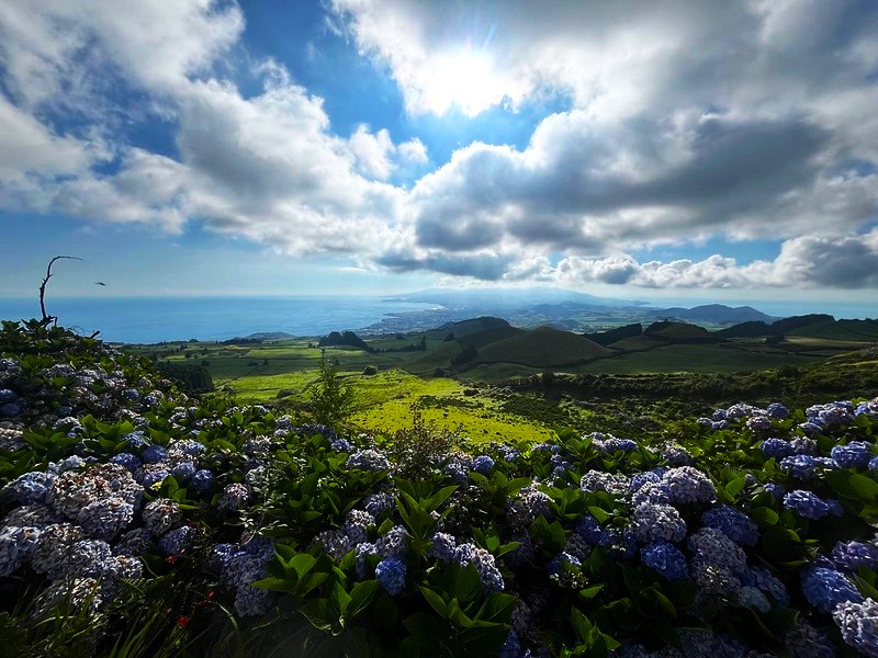 Viaje a Azores agosto 2026