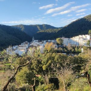 SENDERISMO PENYA CAMPANA AÍN