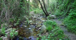 SENDERISMO ALCUDIA DE VEO 
